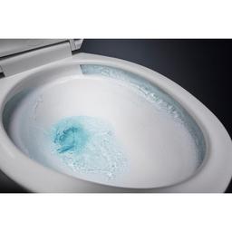Cimarron Elongated Chair Height Toilet Bowl Only - Less Seat - qmvzswzb0ticlfsejg3u_x500.jpg