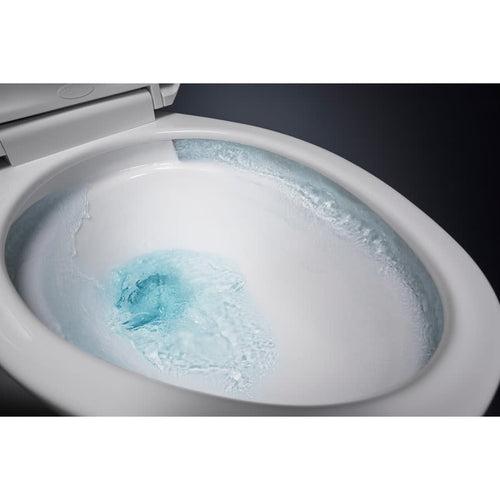 Cimarron Elongated Chair Height Toilet Bowl Only - Less Seat - qmvzswzb0ticlfsejg3u_x500.jpg