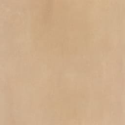 Crafthouse Rattan Rectangle 24X48 Matte - qn06uiznm3efwbb2xqcr@2x.jpg