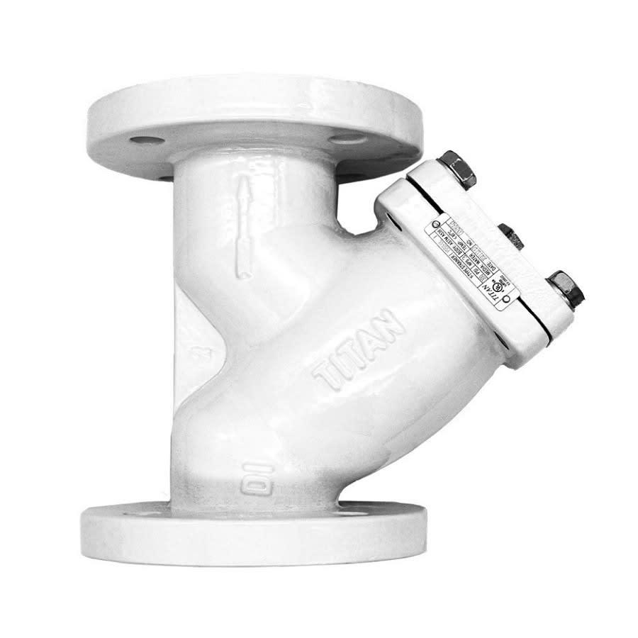 Strainer, 6 in, Flange, Ductile Iron - qnmgqrpae5uirax6jver@2x.jpg