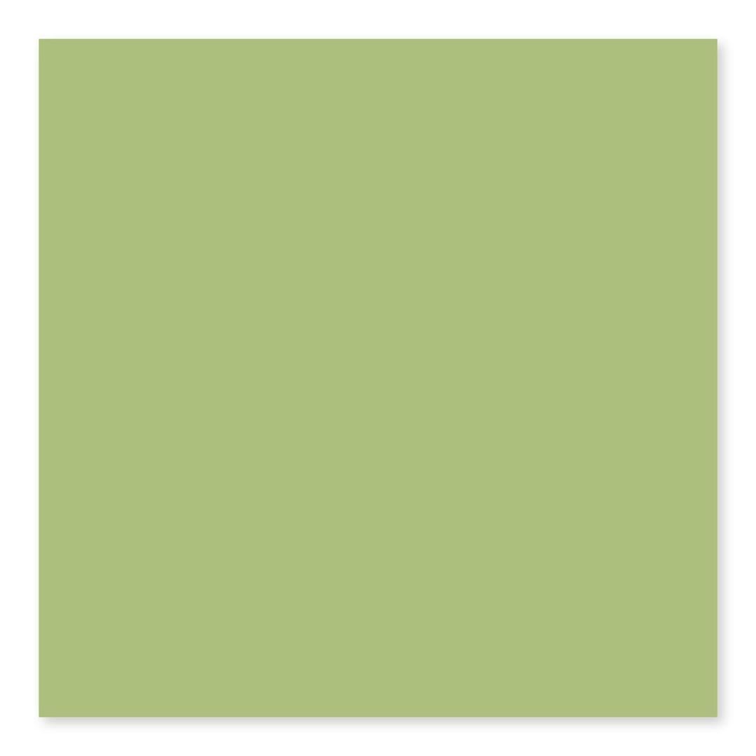 BG SPRING GREEN 3X6 - qnwdsdmr5plqepkhavmv@2x.jpg