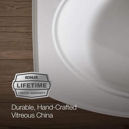 Pinoir 18" Wall Mounted Bathroom Sink with 3 Holes Drilled and Overflow - qnxaruwglff3wh3brdtp@2x.jpg