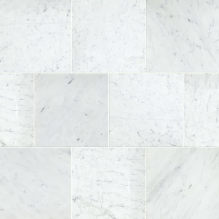 MARBLE BIANCO GIOIA HN 12X12 - qo3usvykhzuid0eezbgz@2x.jpg