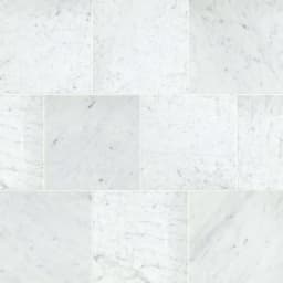 MARBLE BIANCO GIOIA HN 12X12 - qo3usvykhzuid0eezbgz@2x.jpg