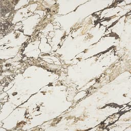 Panoramic Duet Calacatta Aries Square 48X48 Matte - qpcwr64sukvl6dkhhhbb@2x.jpg