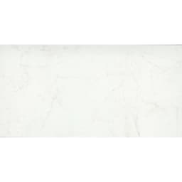 STERLINA II WHITE PL 24X47 - qphggsflwhs2xjihh1mq@2x.jpg