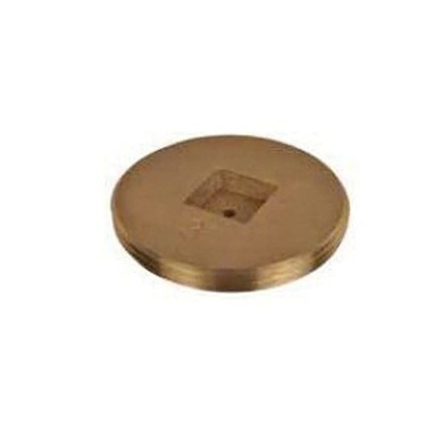 Countersunk Plug, 3-1/2 in, MNPT, Brass, Rough Brass - qpslvx1iz13poo7yqury@2x.jpg