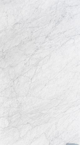 White Carrara Extra - qrd4kzfhv6enrya0100u@2x.jpg