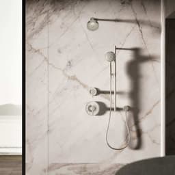 Forte 2.5 GPM Multi Function Hand Shower - qsjfrgnynaijqbalcfep@2x.jpg