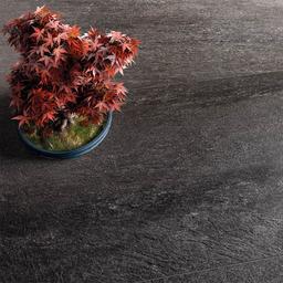 Element Black - qsweosdpmvecxtceuehv_x500.jpg