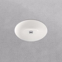 Comstock 17" Oval Vitreous China Undermount Bathroom Sink with Overflow - qtfsqj5rzkifhjfdfm9w@2x.jpg