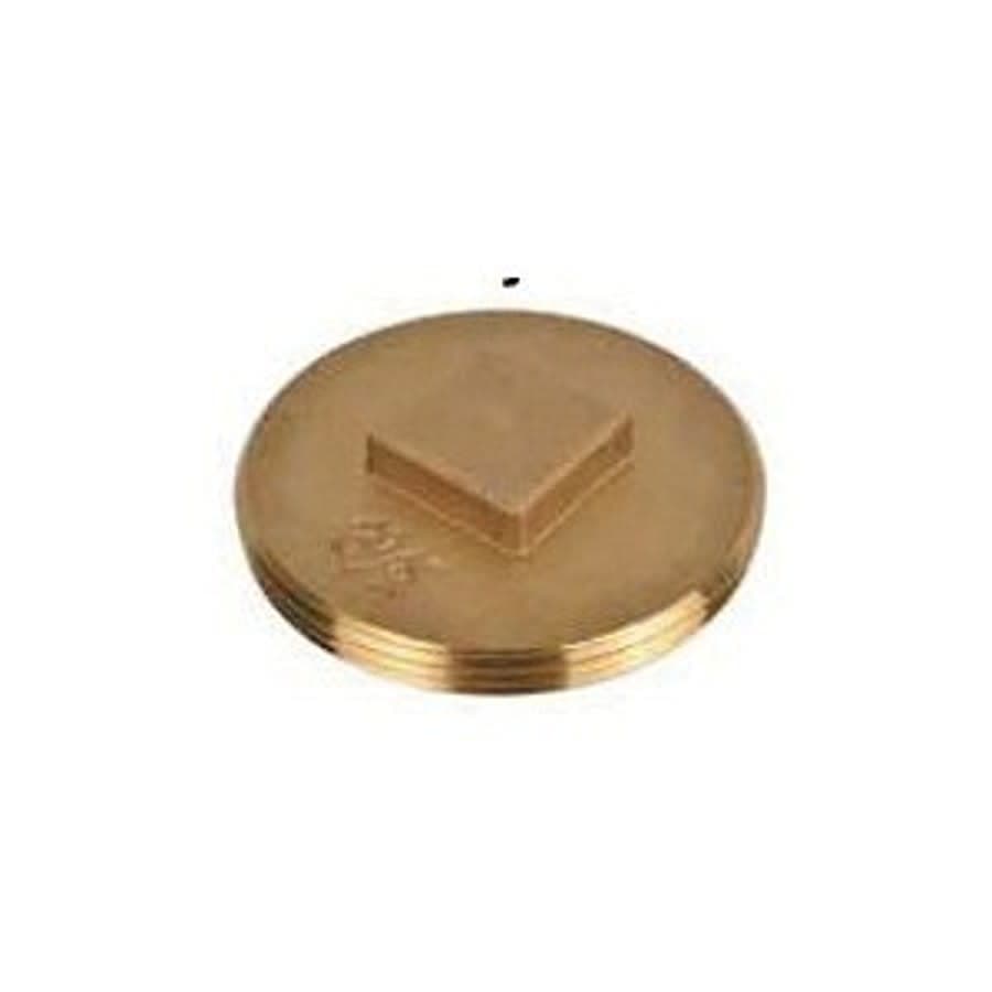 Raised Head Plug, 1-1/2 in, MNPT, Brass, Rough Brass - quyzw4y3pmkvv6zvnxtb@2x.jpg