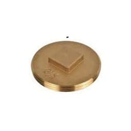 Raised Head Plug, 1-1/2 in, MNPT, Brass, Rough Brass - quyzw4y3pmkvv6zvnxtb@2x.jpg