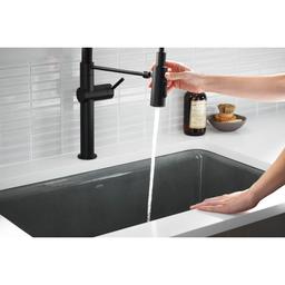 Crue 1.5 GPM Single Hole Pull Down Kitchen Faucet - Includes Escutcheon - qv5izzylfynemie5iefn@2x.jpg