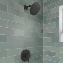 Orrs Shower Only Trim Package with 1.75 GPM Single Function Shower Head - qvnwqfllewovkdik7bca@2x.jpg