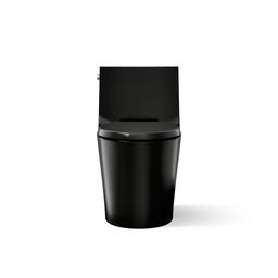 Veil One-piece Elongated Dual-Flush Toilet with Skirted Trapway - qvwyvjqr6yg2wpzl69vb@2x.jpg