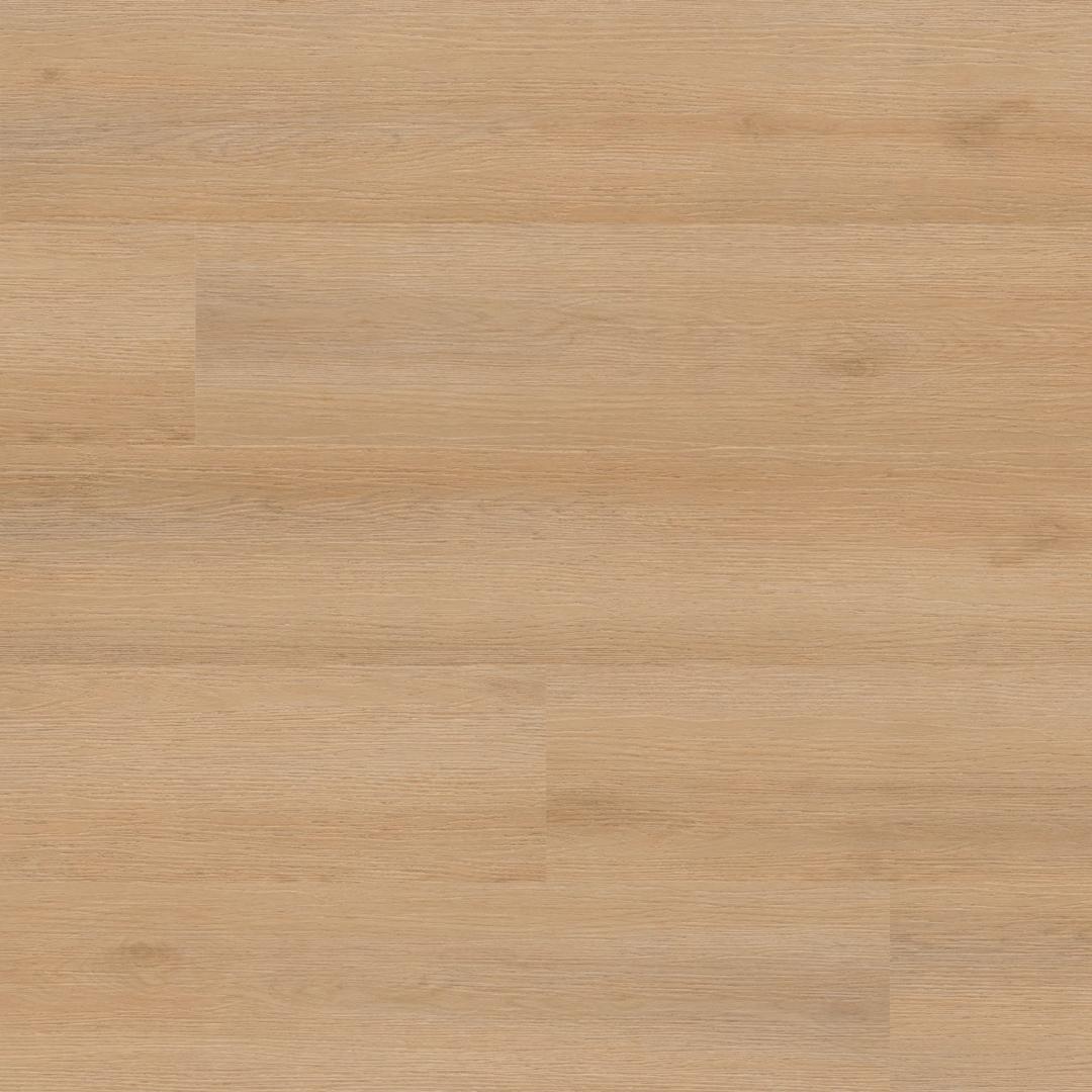 StudioTM Quillian - qwcf9ubtcwamvye5qaeb@2x.jpg