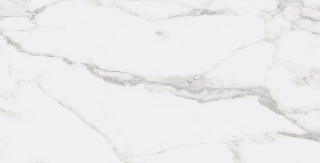 STATUARY WHITE 12X24 R UP - qwef1rfin0pt1k5bmg8f@2x.jpg
