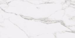 STATUARY WHITE 12X24 R UP - qwef1rfin0pt1k5bmg8f@2x.jpg