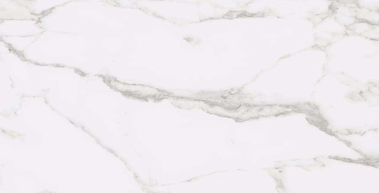 STATUARY WHITE 12X24 R UP