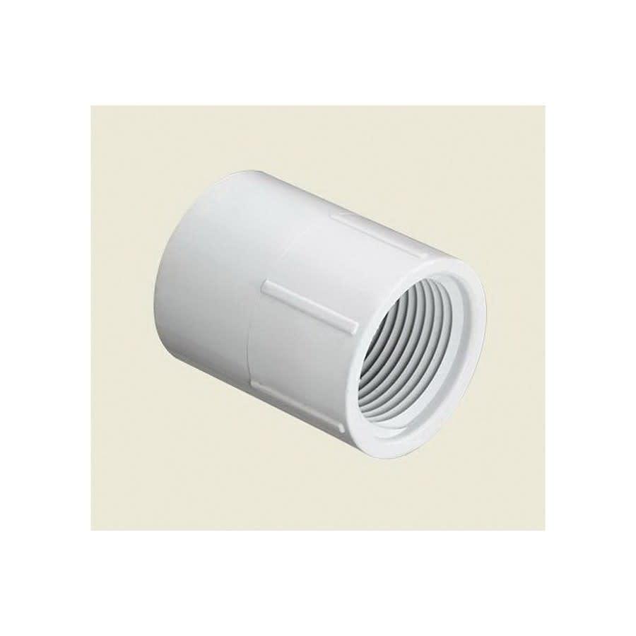 Female Adapter, 1 in, Socket x FNPT, SCH 40/STD, PVC - qwkspsswdvzzygj0qbds@2x.jpg