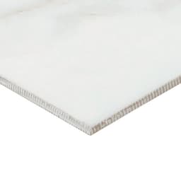 Platinum Magnolia Rectangle 12X24 Matte - qwutzglnd2rbqc8tb6sh@2x.jpg
