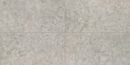 Forgehaus Chroma Square 24X24 Matte - qxfaijr65jjqdjz5qhya@2x.jpg