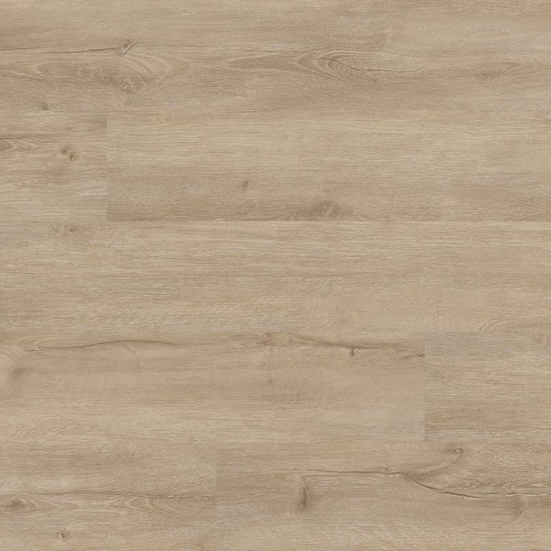 Cyrus® 2.0TM SANDINO - qxz3tss6a6lfkky6ky25_800x500@2x.jpg