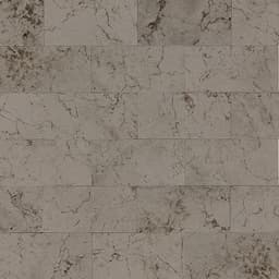 Marble Silver Screen Rectangle 8X36 Polished - r0ju0pv2aifyhdtaef4g@2x.jpg