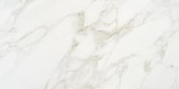 Marble Obsession Arabescato Rectangle 12X24 Matte - r0ppmyfmetg7xqduw1id@2x.jpg