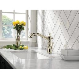 Cassidy Pull-Out Kitchen Faucet - Includes Lifetime Warranty - r0tczsdiupmdh2d03oac_x500.jpg