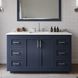 Miranda Single Bathroom Vanity - 54W x 33.75H x 22D - r1d7swmjcwbwrkc5mzi5@2x.jpg