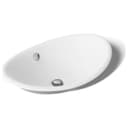 Iron Plains 20-3/4"L Enameled Cast Iron Wading Pool Oval Bathroom Sink with Overflow and White Painted Underside - r2go8bo2wf4js8x9kwlk@2x.jpg