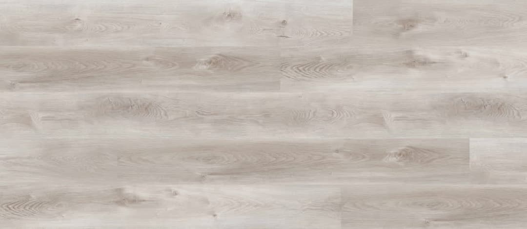 American Hornbeam - r7ipexxlk2hefdstvdcj@2x.jpg