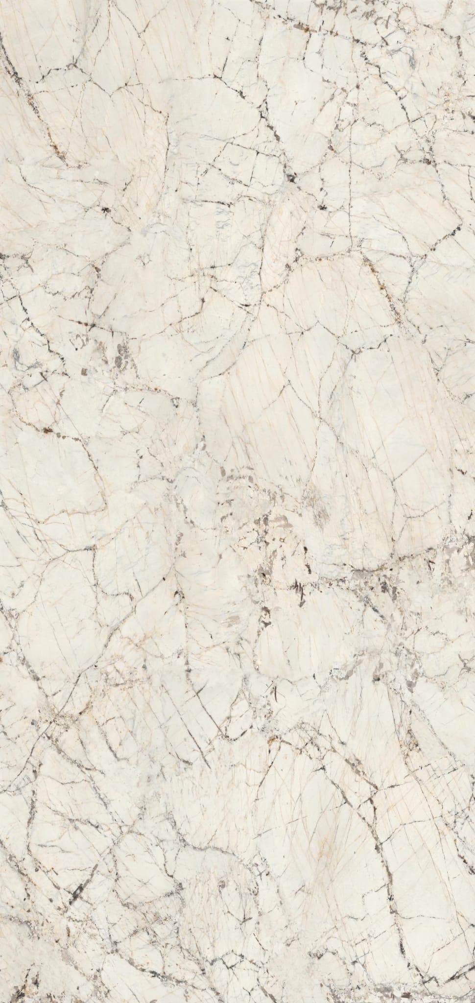 Fusion White Lucidato - r7ys4elsw9dojjp0oaut@2x.jpg