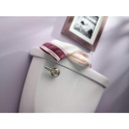 Tank Lever from the Kingsley Collection - r8zoojdqbaiv5hpc8ofz@2x.jpg