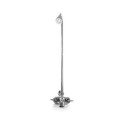 Exposed Bath/Shower, Polished Chrome - r9fvsde3hwxuxl82jut6@2x.jpg