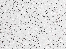 2 ft. x 2 ft. Radar Basic White Square Edge Lay-In Ceiling Tile, case of 4 (16 sq. ft.) - radar-basic-alternate-close-up@2x.jpg