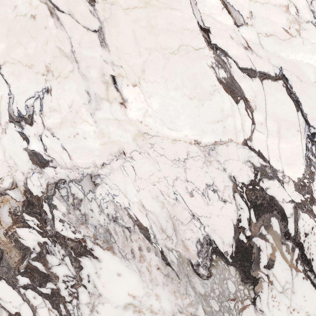 Calacatta Aries - rbkpi757livrfgu8tokr@2x.jpg
