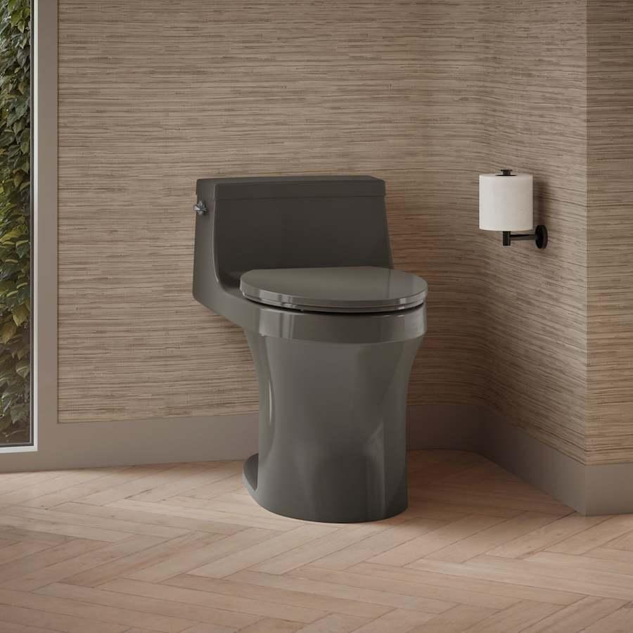San Souci 1.28 GPF Elongated One-Piece Comfort Height Toilet with AquaPiston Technology - Seat Included - rdgmm5m2guotglb04qlm@2x.jpg