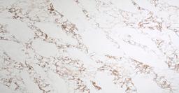 Calacatta Capria - rdxdevp1rbrbok7l0fbu@2x.jpg