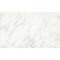 EXPANSE ARABESCO WHT PL 47X110 - rebxxgwoe6l1yth5zdvq@2x.jpg