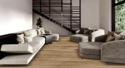 Silver Elm - rfdenuy5vgoudxy8hjra@2x.jpg