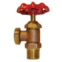 3/4" Economy Boiler Drain - Not Approved for Potable Water Use - rgay8bnitu3rv9sby28v@2x.jpg