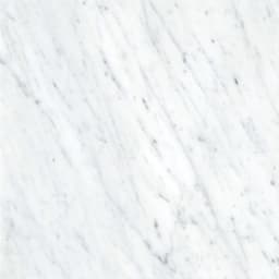 MARBLE BIANCO GIOIA HN 18X18 - rgubfhmlo1qzuphfpxjs@2x.jpg