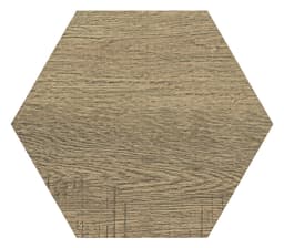 Sleigh Creek Chariot Hexagon 8X9 Matte - rhezvnkzc1mrmbm6apvz@2x.jpg