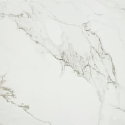 Platinum Magnolia Rectangle 12X24 Matte - ri6howimm8pzc9ycusvy@2x.jpg