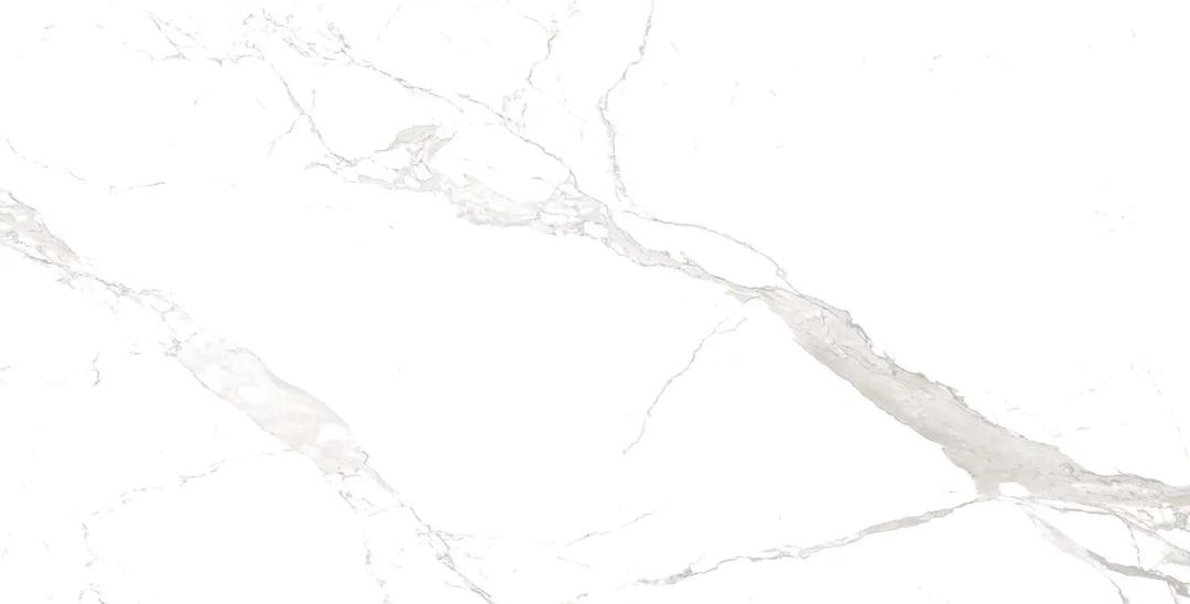 ALASKA WHITE 24X48 R PO - ripw9xdtkl1jmhwpjawq@2x.jpg