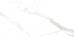 ALASKA WHITE 24X48 R PO - ripw9xdtkl1jmhwpjawq@2x.jpg