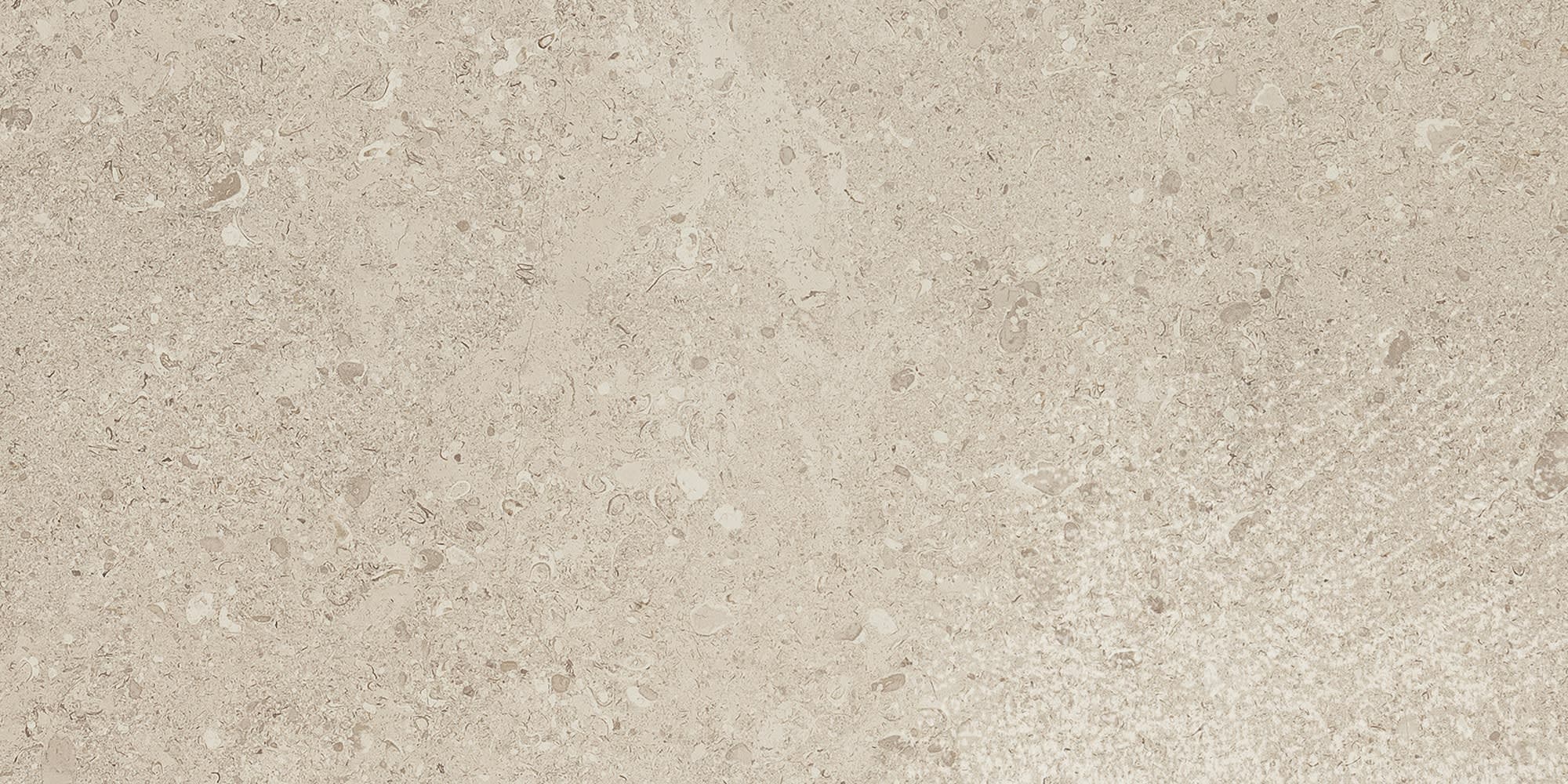 Dignitary Notable Beige Rectangle 12X24 Matte - risymwbgowmfjfw9undh@2x.jpg